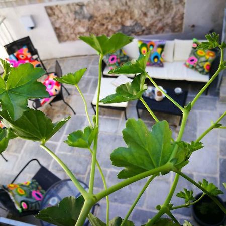 Cres Art Studio Lime Apartment Dış mekan fotoğraf